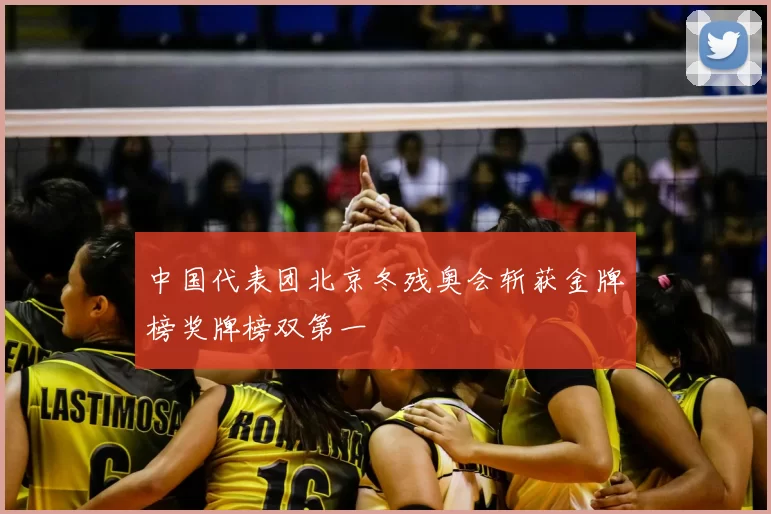中国代表团北京冬残奥会斩获金牌榜奖牌榜双第一