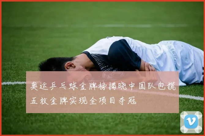 奥运乒乓球金牌榜揭晓中国队包揽五枚金牌实现全项目夺冠