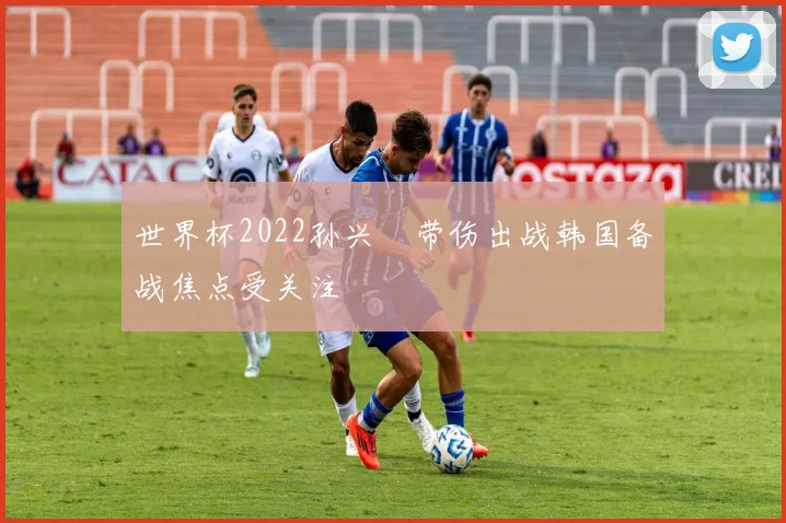 世界杯2022孙兴慜带伤出战韩国备战焦点受关注